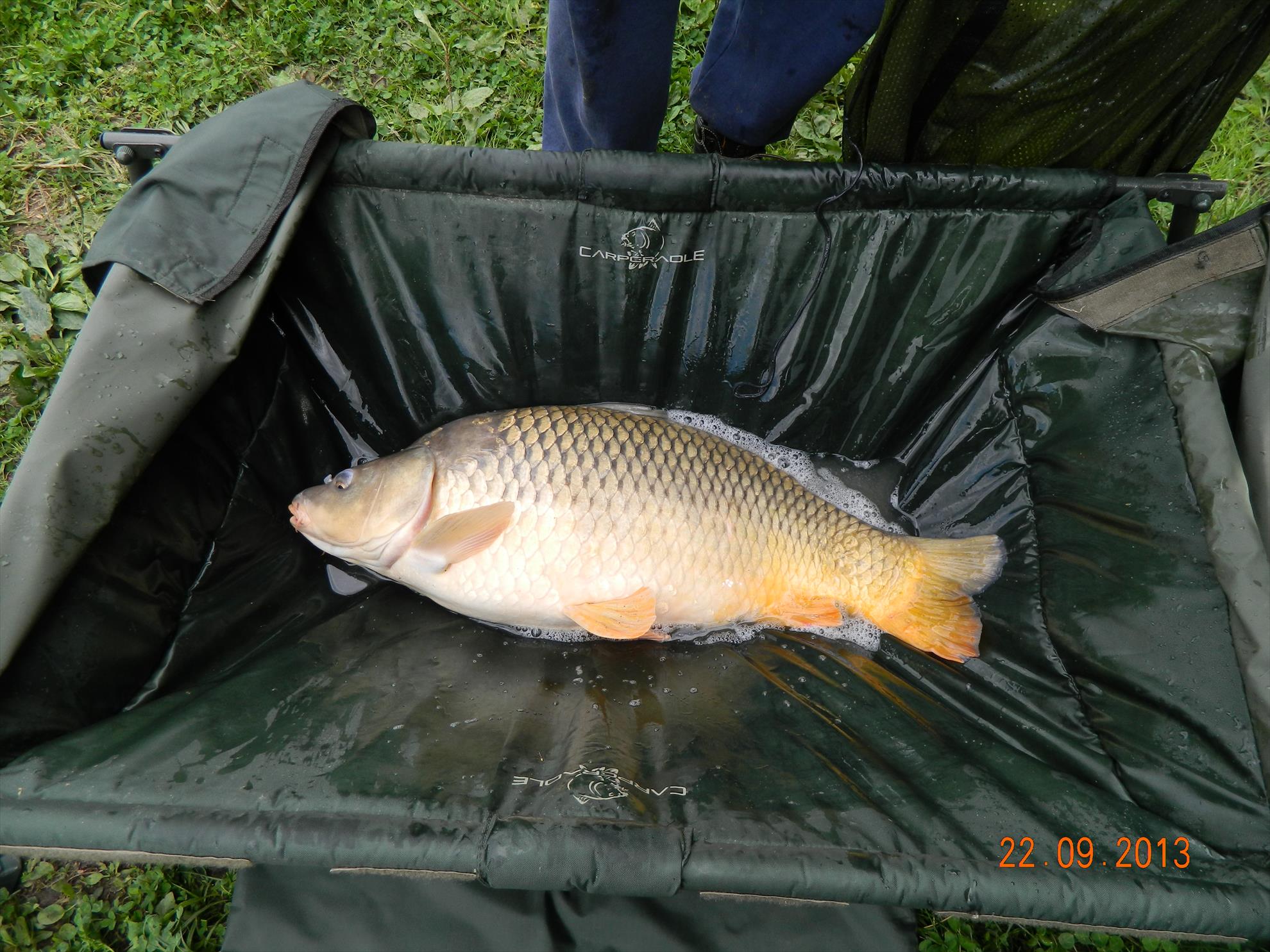 sisterea 20-23.09 - 12kg